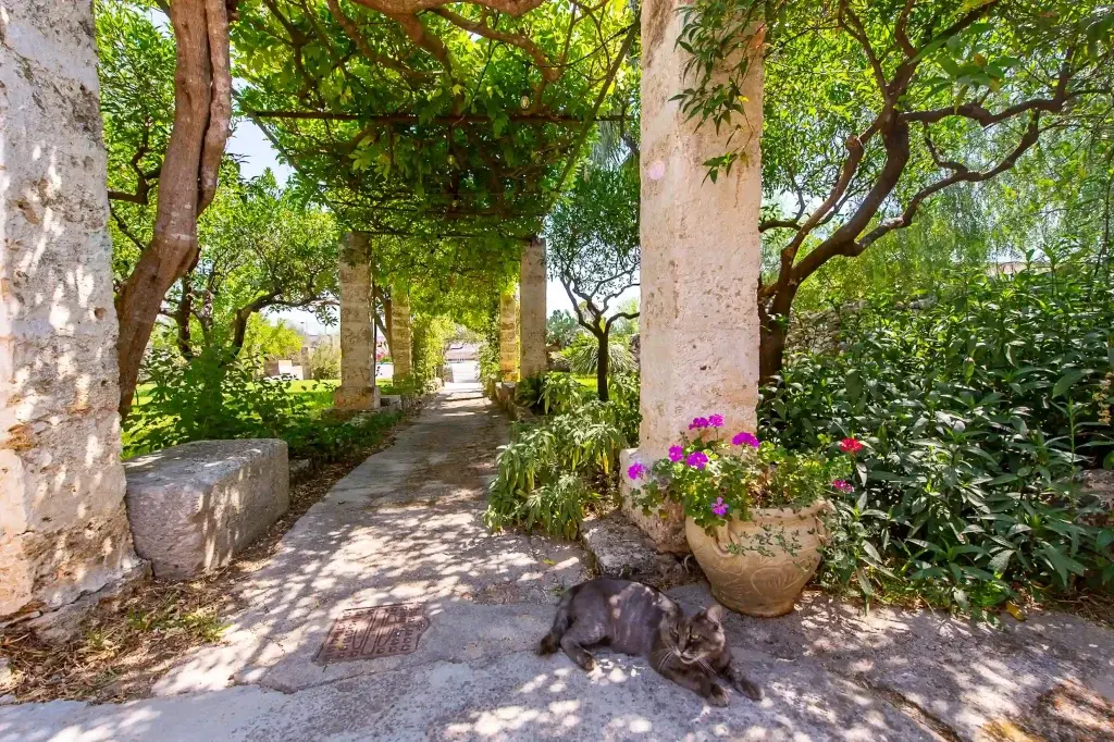 Specchia e la Masseria De Donno