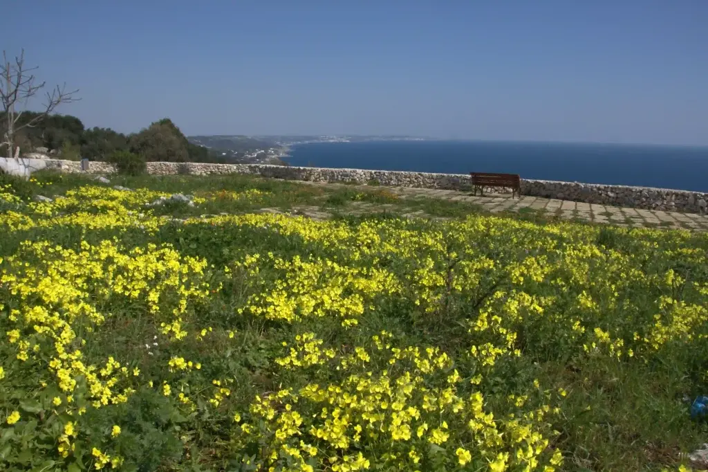 Coste e mare del Salento