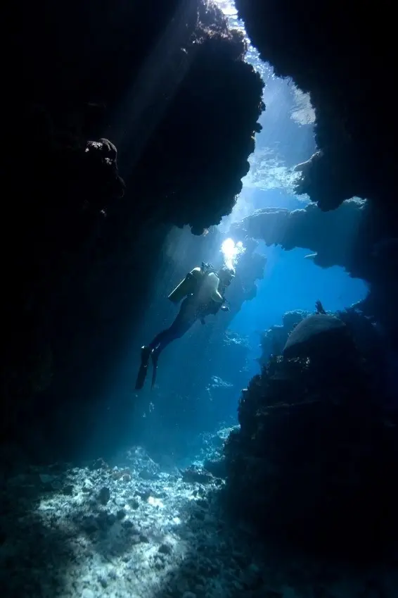 Subacqueo in immersione nelle acque del Basso Salento